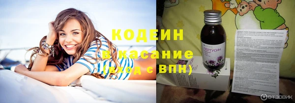 стафф Вяземский