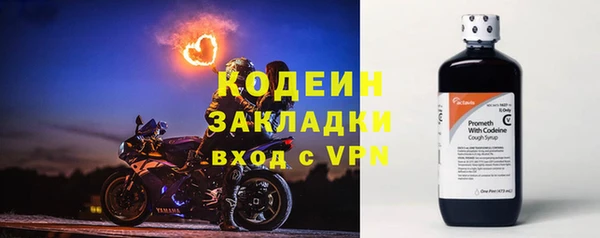 стафф Вяземский