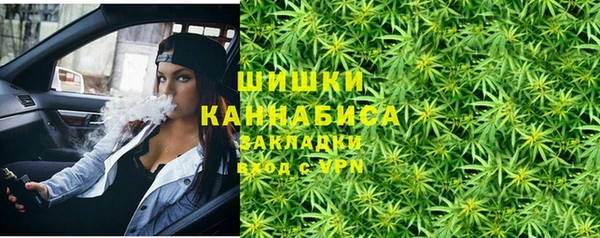 стафф Вяземский