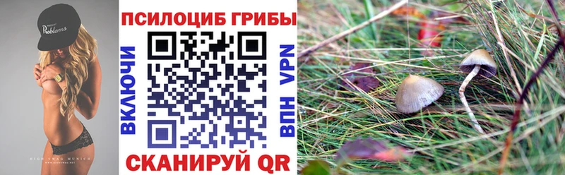где найти наркотики  Новоалександровск  KRAKEN зеркало  Галлюциногенные грибы GOLDEN TEACHER 